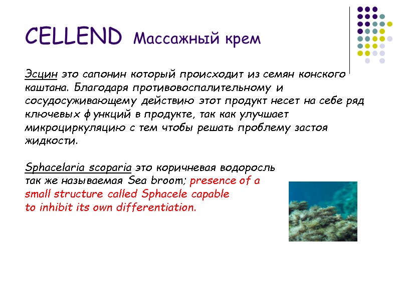 Эсцин это сапонин который происходит из семян конского каштана. Благодаря противовоспалительному и сосудосуживающему действию